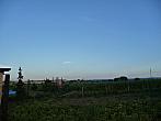Třibřichy